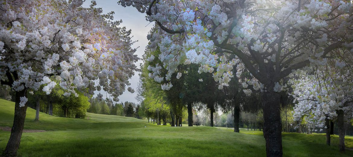 Golfen op meerdere banen – TOP 3 Golfweekendjes weg!