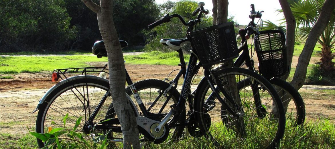 Top 5 Fietsen in Brabant