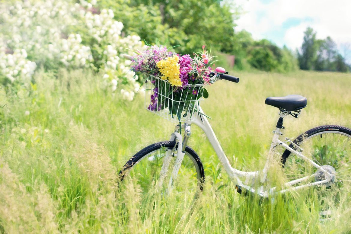 Top 3 fietsvakanties door Drenthe