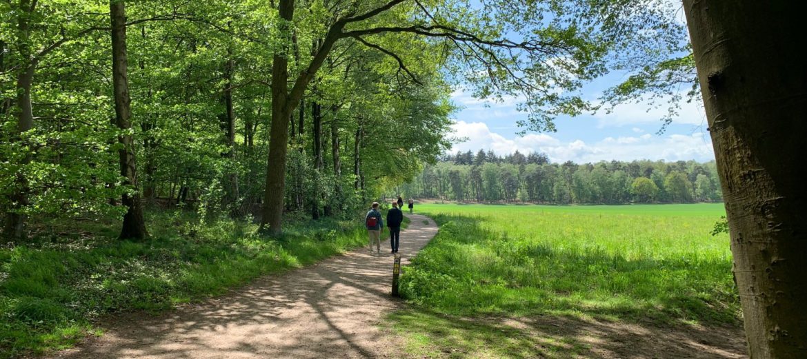 Wandelen in Montferland? Check deze 3 TIPS Wandelen vanuit Ruimzicht in Zeddam