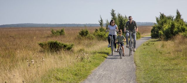Geniet dit jaar van een fietsvakantie – 5 TIPS!
