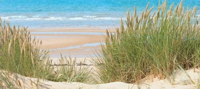 Redactie tip! Lastminute midweek aanbieding aan zee!